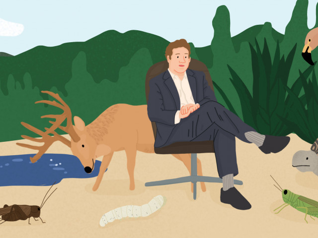 Afbeelding voor blog Waarom Humboldt?