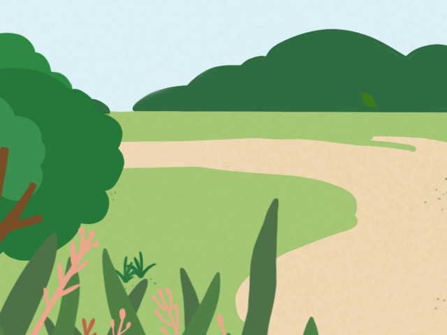 Afbeelding voor blog Van visie naar duurzaam ondernemen